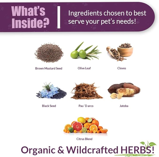 Amber NaturalZ Vibactra Plus Herbal Supplement for Dogs, Cats, Birds, Guinea Pigs, and Rabbits | Herbs for Immune Health and Yeast Balance | 1 Fluid Ounce Glass Bottle-PawvioPets