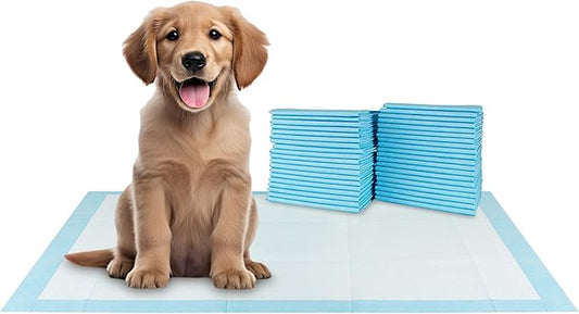 BV XXL Puppy Pads 40 Count 30" x 36" - Leak-Proof Pee Pads for Dogs with 6-Layer Design, Rapid Dry Sheet & Attractant - Dog Pad Extra Large with Odor Control - Perfect for Big Dogs & Indoor Use-PawvioPets