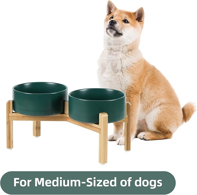 Ceramic Raised Double Bowls Set with Stand, Food & Water Bowls for Medium Breed Dogs, Weighted Dog Dishes, Pet Bowl(7.3'',41OZ, Green)-PawvioPets