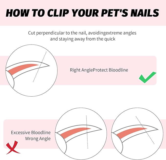 2 PCS Bearded Dragon Nail Clippers, Cat Nail Trimmer, Stainless Steel Cat Claw Clippers, with (White + Pink) Files * 2, Suitable for Reptiles, Novice Pet Families (Orange + Rose Red)-PawvioPets