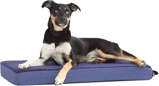Barkbox Orthopedic Dog Bed with Memory Foam, Premium Comfort for Dogs and Puppies, Dog Bed for Joint Relief and Restful Sleep, Durable and Easy to Clean - Navy, Medium-PawvioPets