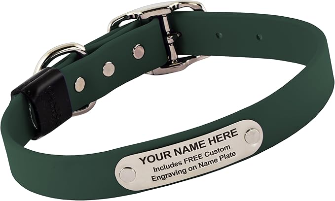 Biothane Custom Dog Collar – Waterproof, Stink-Proof Personalized Collar with Name & Phone Number – Durable, Many Sizes and Colors – Assembled in USA (Forest Green)-PawvioPets