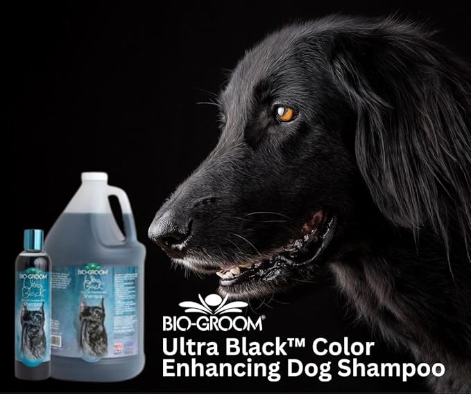 Bio-Groom Ultra-Black Dog Shampoo – Color Enhancing Pet Shampoo, Dog Bathing Supplies, Puppy Wash, Dog Grooming Supplies, Cruelty-Free, Made in USA, Coat Brightener Shampoo – 12 fl oz 1-Pack-PawvioPets