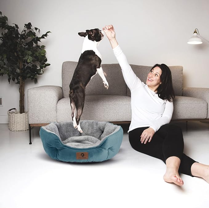 Asvin Small Dog Bed for Small Dogs, Cat Beds for Indoor Cats, Pet Bed for Puppy and Kitty, Extra Soft & Machine Washable with Anti-Slip & Water-Resistant Oxford Bottom, Teal, 20 inches-PawvioPets