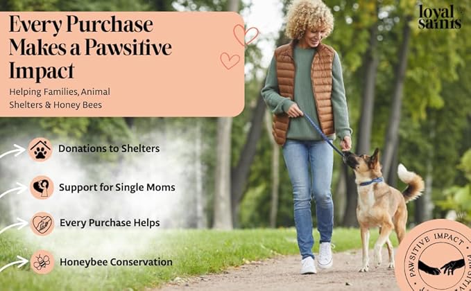 Freeze Dried Raw Dog Food - Premium Turkey and Salmon Flavor with High Protein and Grain Free Dog Food for All Breeds and Picky Eaters - Versatile as Meal Topper, Snack, and Treats, 5 Oz-PawvioPets