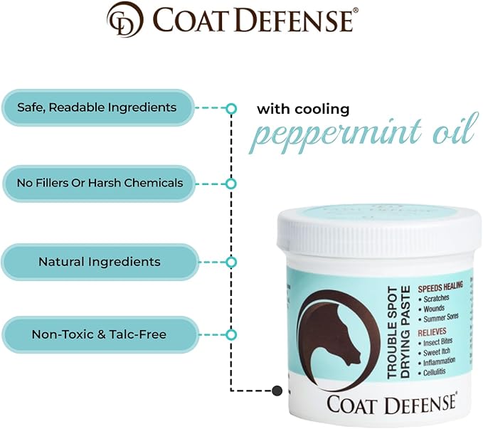 COAT DEFENSE Trouble Spot Drying Paste for Horses - Natural Equine Wound Care That Provides Safe & Effective Relief from Scratches, Sweet Itch, Summer Sores, Proud Flesh, Mud Fever, Girth Rot (10 Oz)-PawvioPets