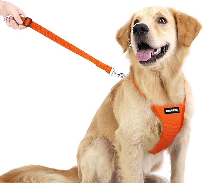 Dog Seat Belt, Safety Vest Dog Car Harness with Adjustable Buckle Dog Seat Belt for Vehicle Nylon Pet Safety Seat Belts Heavy Duty(M, Orange)-PawvioPets