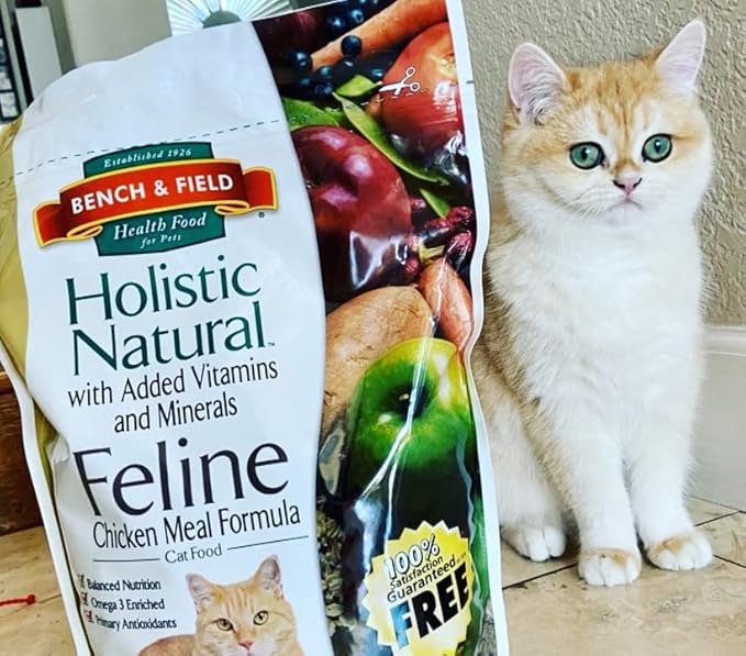 Bench & Field Holistic Natural Premium Adult Dry Cat Food, Chicken Meal and Brown Rice Recipe 25 lb Bag (Pack of 1)-PawvioPets