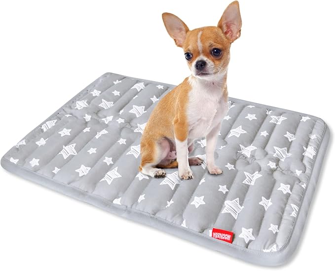 Dog Crate Mat (21" X 14"), Soft Dog Bed Mat with Cute Prints, Personalized Crate Pad, Anti-Slip Bottom, Machine Washable Kennel Pad-PawvioPets