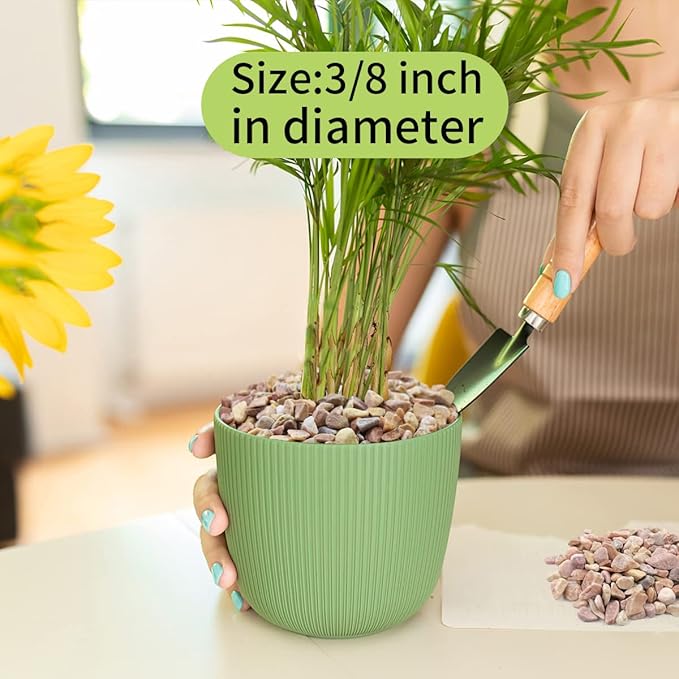 2 lb Natural Pea Gravel Small Pebbles - 3/8 Inch Pebbles for Indoor Plants, Succulents Rocks, Fish Tank Gravel, Terrarium Rocks and Patio Paver Decorative Stones-PawvioPets