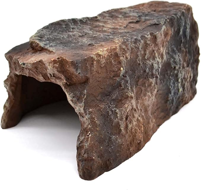 Boa Constrictor Habitat 10 Gallon Terrarium Kit-PawvioPets