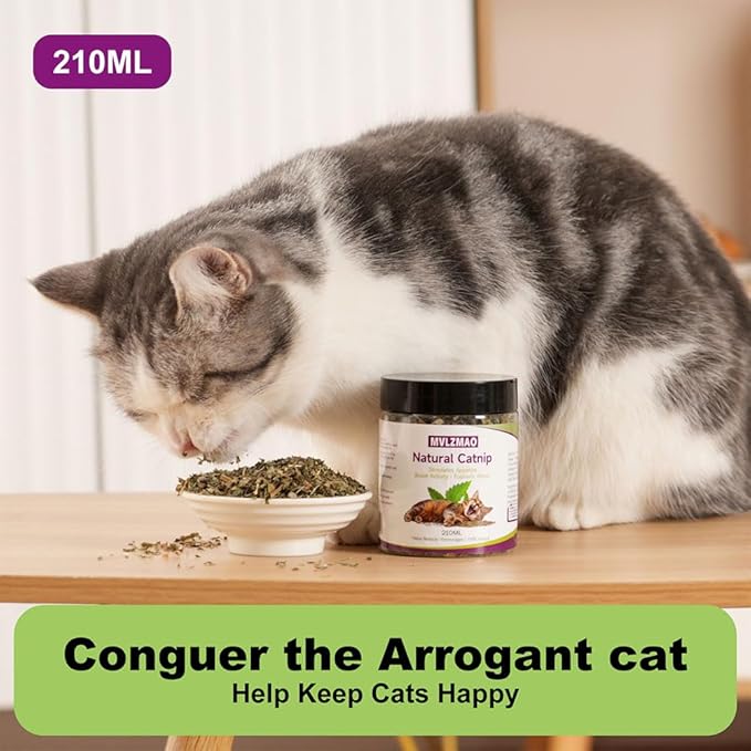 210ML Organic 100% Natural Catnip Cattle Grass Mint Taste Funny Cat Toy New Cat Toy Interactive Cat Toys Pet Supplies-PawvioPets