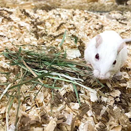 Blue Mountain Hay | Fresh Alfalfa Hay (40 Ounce) | High Leaf Retention | Nutritious High-Altitude Hay Pet Food for Rabbits, Guinea Pigs, Chinchillas, Hamsters, and Other Small Pets-PawvioPets