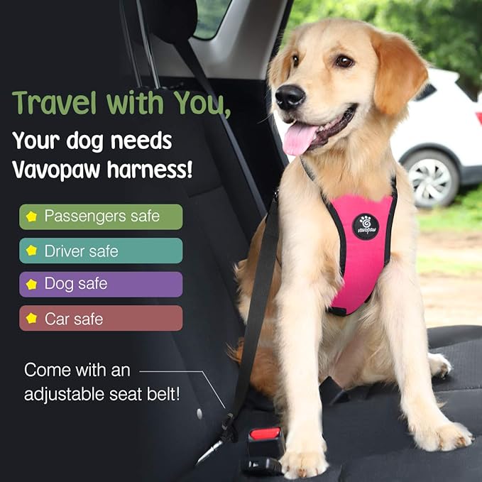 Dog Seat Belt, Safety Vest Dog Car Harness with Adjustable Buckle Dog Seat Belt for Vehicle Nylon Pet Safety Seat Belts Heavy Duty(M, Magenta)-PawvioPets