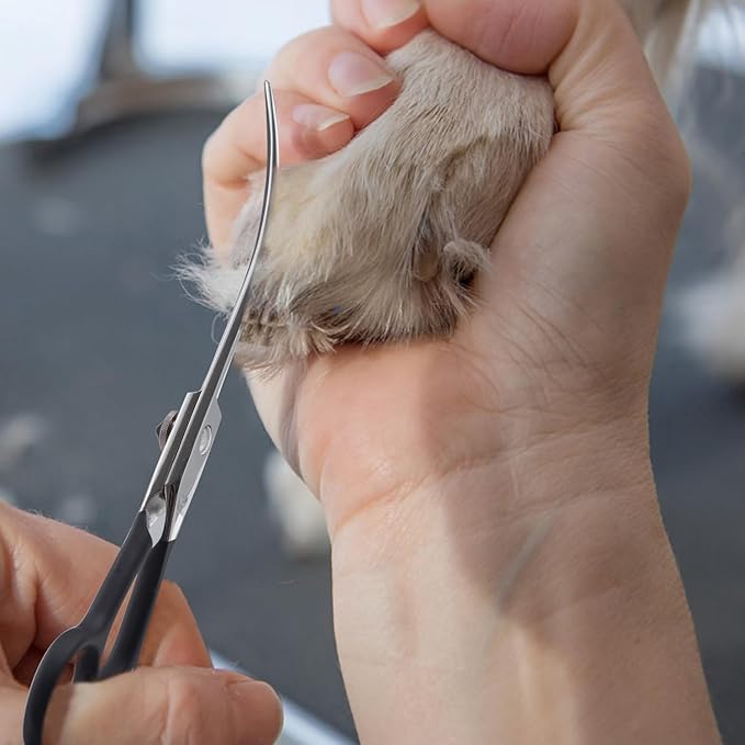 Dragon Creek 6" Upward Curved Dog Grooming Scissors Shears for Grooming Face and Paws Safety Shears Trimming Cutting Scissors for Dog Cat Pet Black-PawvioPets