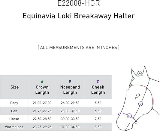 Equinavia Loki Adjustable Breakaway Horse Halter - Hunter Green - Pony-PawvioPets