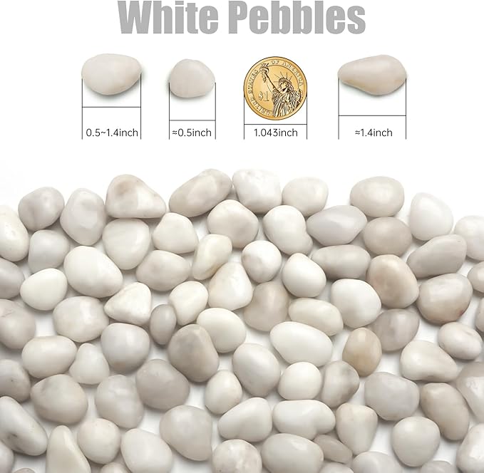 5 Lbs River Rocks for Plants,0.4-1.2 Inch Decorative Ornamental Pebbels, High Polished Stones for Garden Landscaping, Smooth Gravel Filler for Outdoor Plants, Succulents, Fish Tank and Vases, White-PawvioPets