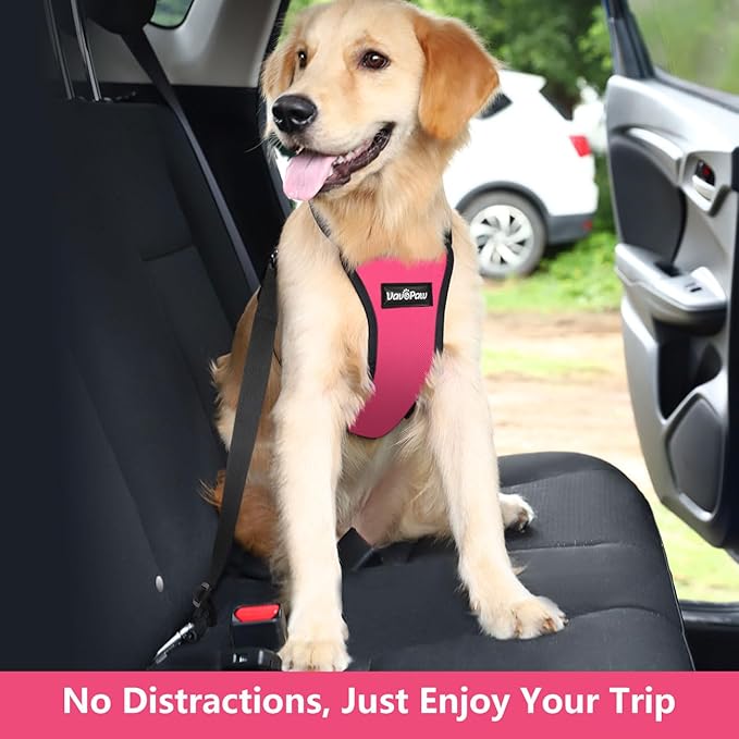 Dog Seat Belt, Safety Vest Dog Car Harness with Adjustable Buckle Dog Seat Belt for Vehicle Nylon Pet Safety Seat Belts Heavy Duty(XXL, Magenta)-PawvioPets