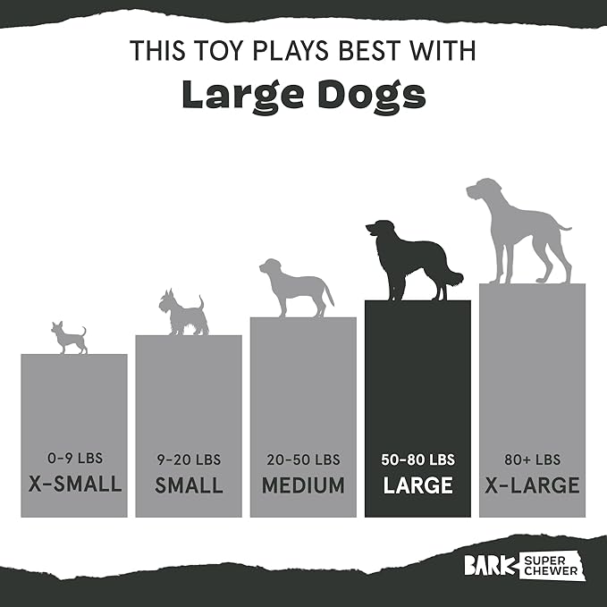 Barkbox Cheeze Brawl Super Chewer Plush Toy with Hard Core Center, Large-PawvioPets