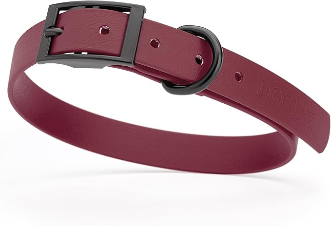 Dogline Biothane Waterproof Dog Collar Strong Coated Nylon Webbing with Black Hardware Odor- Proof for Easy Care Easy to Clean High Performance Fits Small Medium or Large Dogs, Merlot Burgundy-PawvioPets