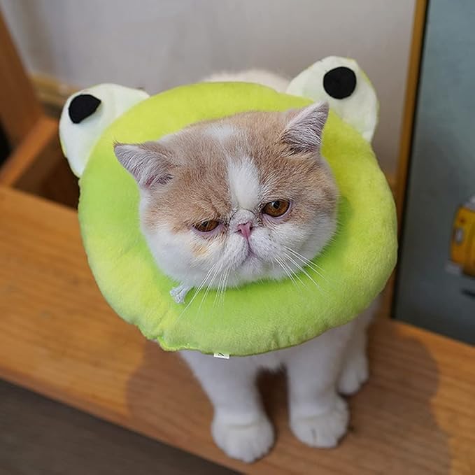 Adjustable Cat Recovery Collar Soft,Cute Pet E-Collar Neck Cone After Surgery Wound Healing Protective Cone Fit for Kitties, Small Dogs(ELC05-frog-m)-PawvioPets