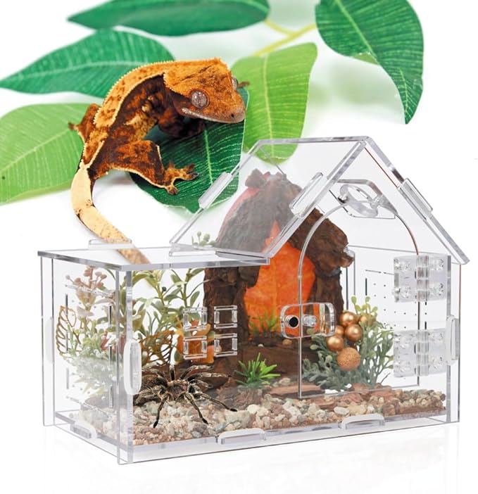 Acrylic Jumping Spider Enclosure - Versatile Reptile Enclosure with One-Click Magnetic Closure, Perfect for Tarantula, Gecko, Chameleon, Beetle, Mantis, and Hermit Crab-PawvioPets