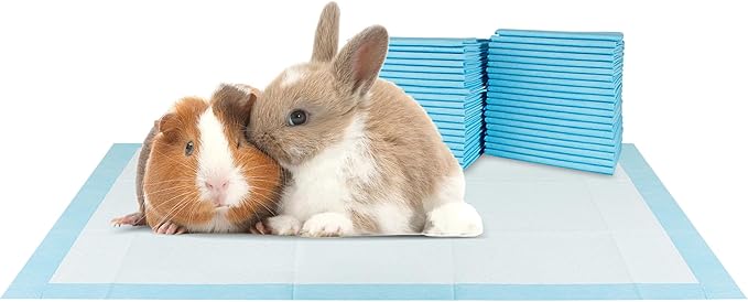 BV Small Puppy Pads 100 Count 17"x24" - Leak-Proof & Absorbent Pee Pads For Dogs with 6-Layer Design, Rapid Dry Sheet & Built-In Attractant - Dog Pad with Odor Control, Perfect for Puppies&Senior Dogs-PawvioPets