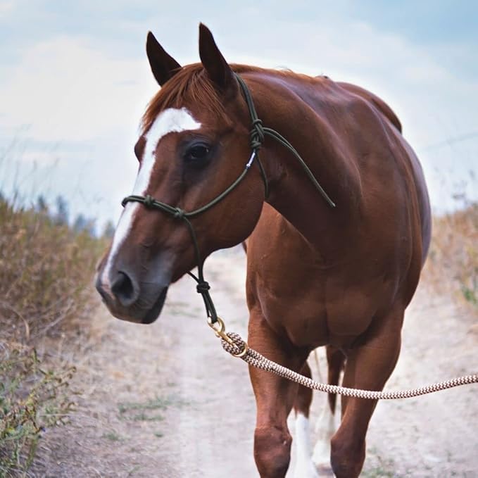 Double Braid Polyester Yacht Horse Lead Rope with Loop 12ft. or 14ft. Lengths (Beige, 14 ft. No Snap)-PawvioPets
