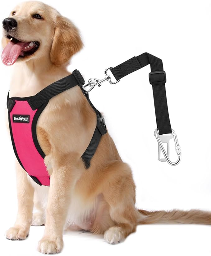 Dog Seat Belt, Safety Vest Dog Car Harness with Adjustable Buckle Dog Seat Belt for Vehicle Nylon Pet Safety Seat Belts Heavy Duty(XXL, Magenta)-PawvioPets