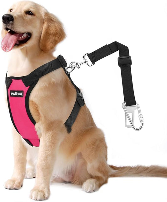 Dog Seat Belt, Safety Vest Dog Car Harness with Adjustable Buckle Dog Seat Belt for Vehicle Nylon Pet Safety Seat Belts Heavy Duty(XXL, Magenta)-PawvioPets