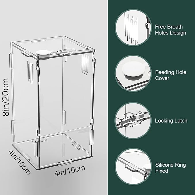 BETAZOOER Acrylic Mini Reptile Tank Habitat Transparent Terrariums with Locking Latch Suitable for Tarantula Isopod Roach Invertebrates (4''x4''x8'')-PawvioPets