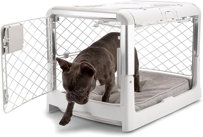 DIGGS Revol Collapsible Dog Crate with Wheels - Premium Portable Dog Crate - Safe, Stylish, and Convenient Indoor Kennel (Ash, Small)-PawvioPets