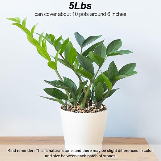 Decorative Rocks for Potted Plants,Virekm River Rocks, Decorative Ornamental Pebbles,Garden Landscaping Stones Gravel Filler for Home Decoration Flower Bed Fish Tank Plants Vases Succulents (5 Pounds)-PawvioPets