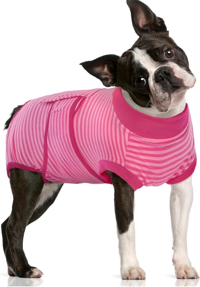 FUAMEY Recovery Suit for Dogs After Surgery,Soft Breathable Dog Bodysuit E-Collar & Cone Alternative Surgical Suit,Male Female Dog Neuter Spay Suits Anti Licking Wounds Onesie Rose Stripes M-PawvioPets