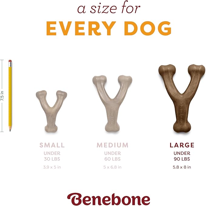 Benebone Pumpkin Spice Wishbone – Limited Edition Flavor, Durable Dog Chew Toy for Aggressive Chewers, Made in USA, Large-PawvioPets