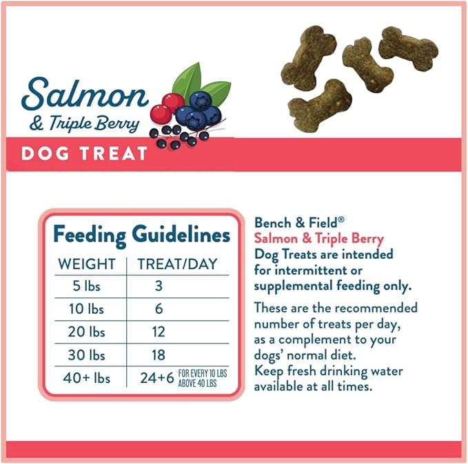 Bench & Field Holistic Natural Salmon & Triple Berry Dog Treats | Crunchy Bone-Shaped Bites | Antioxidant Blend, 10-Ounce Bottle-PawvioPets