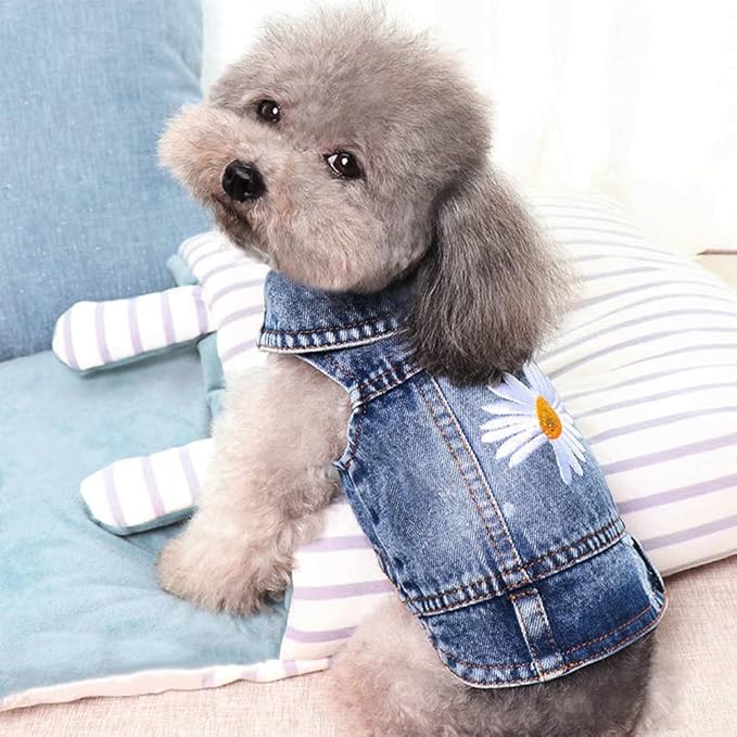 Dog Denim Jacket with Embroidered Daisy, Ripped Vintage Jean Vest for Small Dogs, Pugs, Chihuahuas, Spring Summer Autumn Festival Outfit-PawvioPets