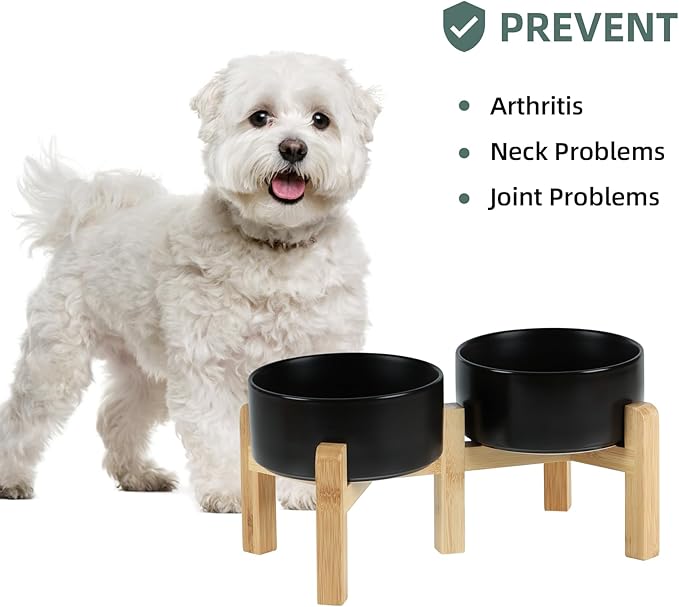 Ceramic Raised Double Bowls Set with Stand, 2 Heights Elevated, Food & Water Bowls for Small Breed Dogs, Weighted Dog Dishes, Pet Bowl(6.1'',28.7oz, Black)-PawvioPets