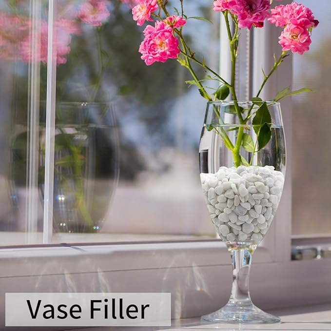 5lbs Natural White Pea Gravel Pebbles for Succulent Cactus, 3/8 Inch White Rocks for Plants Indoor, Vase Fillers, Bowl, Landscaping and Outdoor Garden Decorative White Stones-PawvioPets