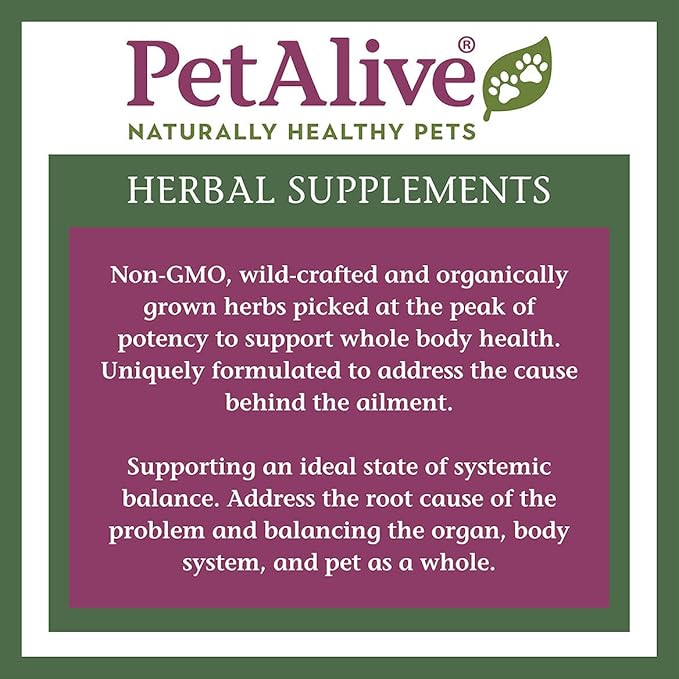 352706 PetAlive Complete EaseSure ComboPack-PawvioPets