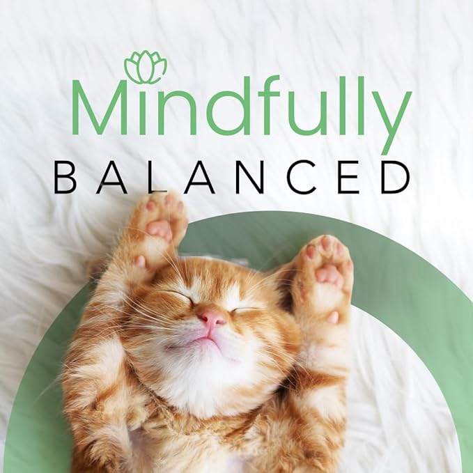 Best Shot Scentament Spa Seasonal Facial & Body Wash, Mango Maui, 16 oz-PawvioPets