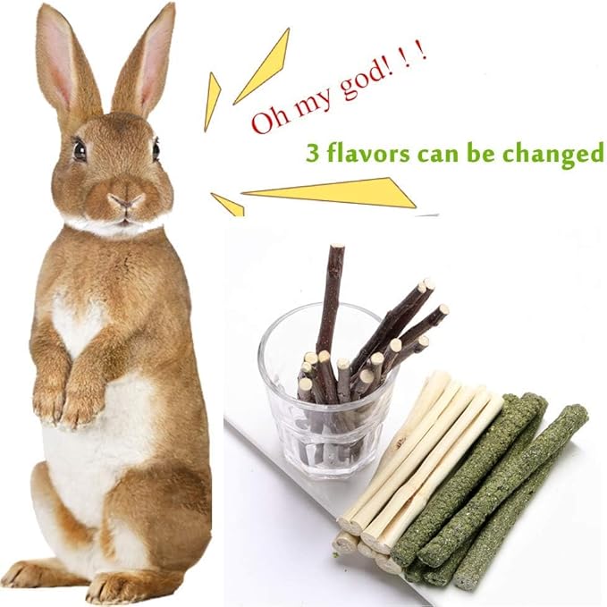 600g Guinea Pig and Rabbit Chew Toys - Sweet Bamboo and Timothy Apple Sticks for Healthy Teeth and Relaxation - Natural and Safe Guinea Pig Chew Toys-PawvioPets