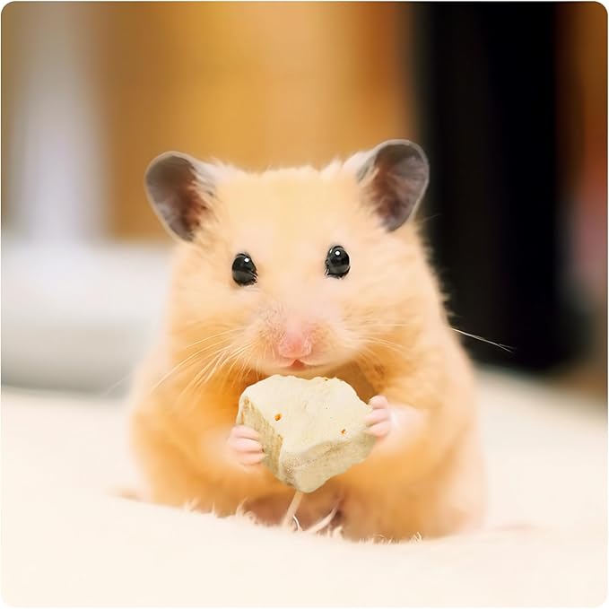 Abizoo Freeze Dried Tofu for Hamsters High Protein Low Fat & Balanced Minerals Grain Free Single Ingredient Natural Treats Enrichment Snacks for Rabbits, Guinea Pigs & Small Pets-PawvioPets