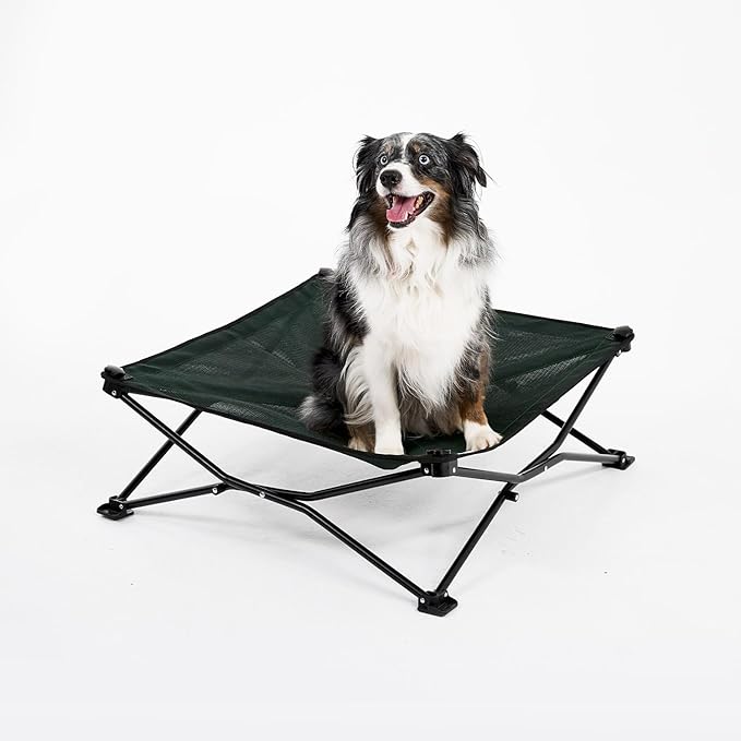 Coolaroo On-The-Go Elevated Dog Bed - Foldable Pop-Up Travel Dog Bed with Breathable, Moisture-Resistant Fabric, Carry Bag Included, Lightweight & Portable, Brunswick Green, Medium-PawvioPets