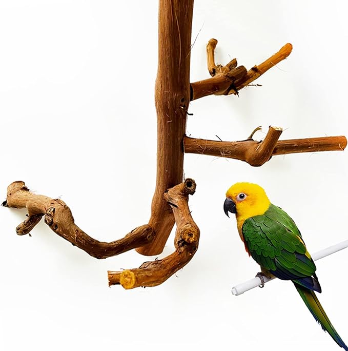 Allazone Natural Parrot Perch Bird Stand Branch Wild Grape Stick Paw Grinding Branch Parakeet Climbing Standing Branches Toy Chewable Cage Accessories for Small Lovebirds Budgies Cockatiels-PawvioPets
