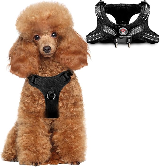 Dog Harness Step in Dog Vest Harness, Reflective Adjustable Puppy No Pull Harness Breathable Soft for Small and Medium Dogs Cats, Black, XS-PawvioPets