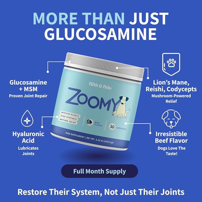 Dog Joint Supplement Powder with Glucosamine, Chondroitin & MSM – Hip & Joint Support for Mobility, Stiffness & Flexibility – Mushroom Blend with Lion’s Mane, Cordyceps & Reishi – Zoomy-PawvioPets