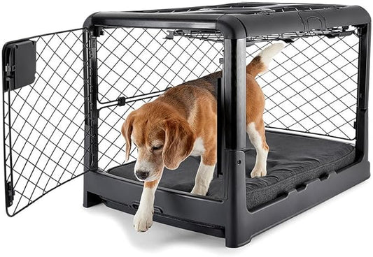 DIGGS Revol Collapsible Dog Crate with Wheels - Premium Portable Dog Crate - Safe, Stylish, and Convenient Indoor Kennel (Charcoal, Medium)-PawvioPets