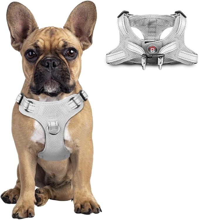 Dog Harness Step in Dog Vest Harness, Reflective Adjustable Puppy No Pull Harness Breathable Soft for Small and Medium Dogs Cats, Grey, S-PawvioPets