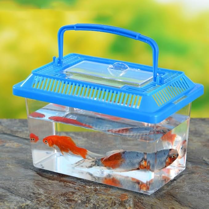 5pcs Small Fish Carrier with Breathable Lids, Portable Betta Fish Tank, Clear Breeding Boxes for Lizard, Turtle, Tarantula（Assorted Color）-PawvioPets